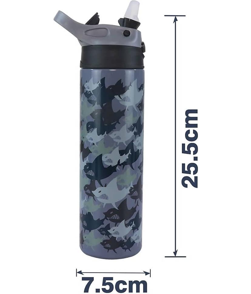 Smily Kiddos - Insulated Water Bottle 600ml Grey Sipper Water Bottle 600 mL ( Set of 1 ) view 2
