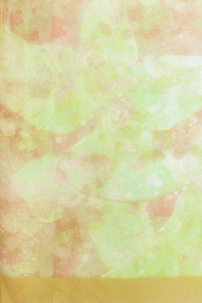 Green Organza Digital Printed Saree with Zari Border view 5