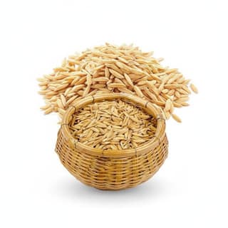 Natural Paddy Rice - 5 kg - One bag of paddy rice