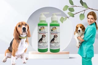 SWACCH Premium Shampoo for Beagle (200ML) (Pack of 2) NEEM ALOVERA