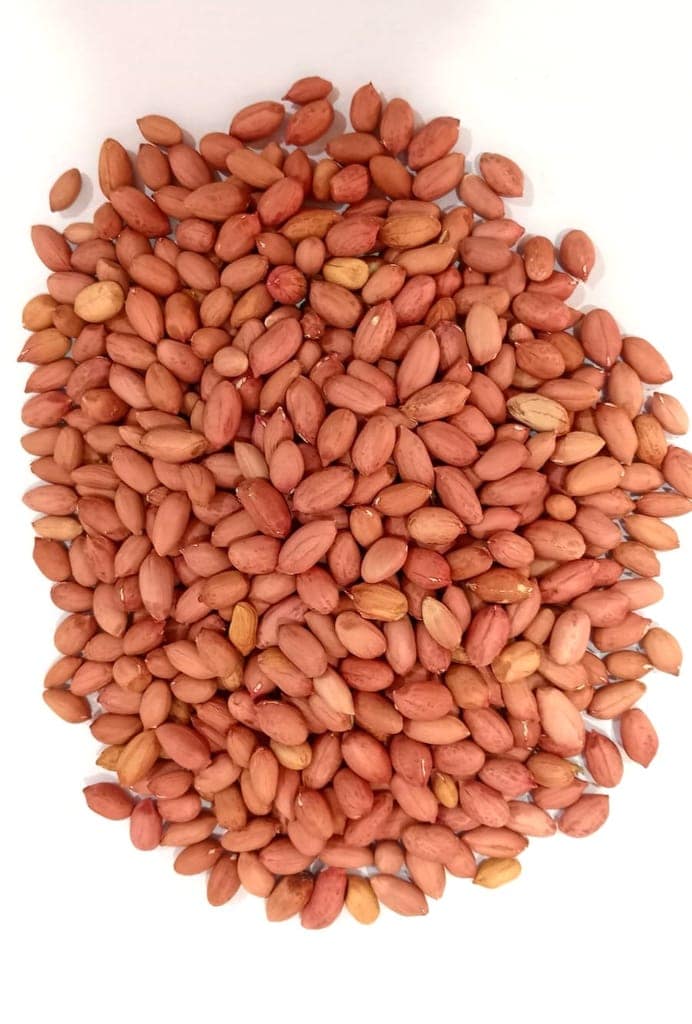 Ground Nut view 3