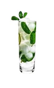 Litchi Mojito