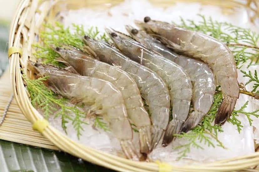 Uncleaned -Prawns/Jhinga - 500gms (25-30 Count)