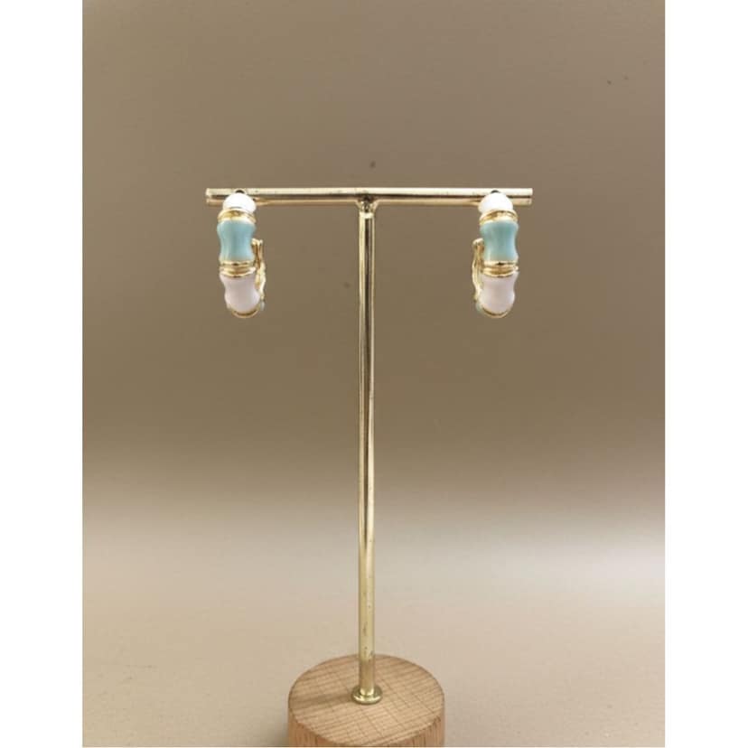Earrings Pastel Hoop