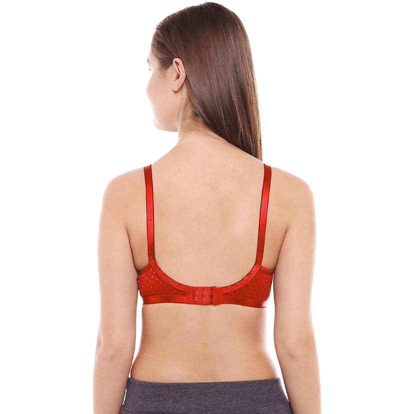 Bodycare Women Cotton Spandex Full Coverage Non Padded Regular Bra Pack - 2 E1528MHRED view 5