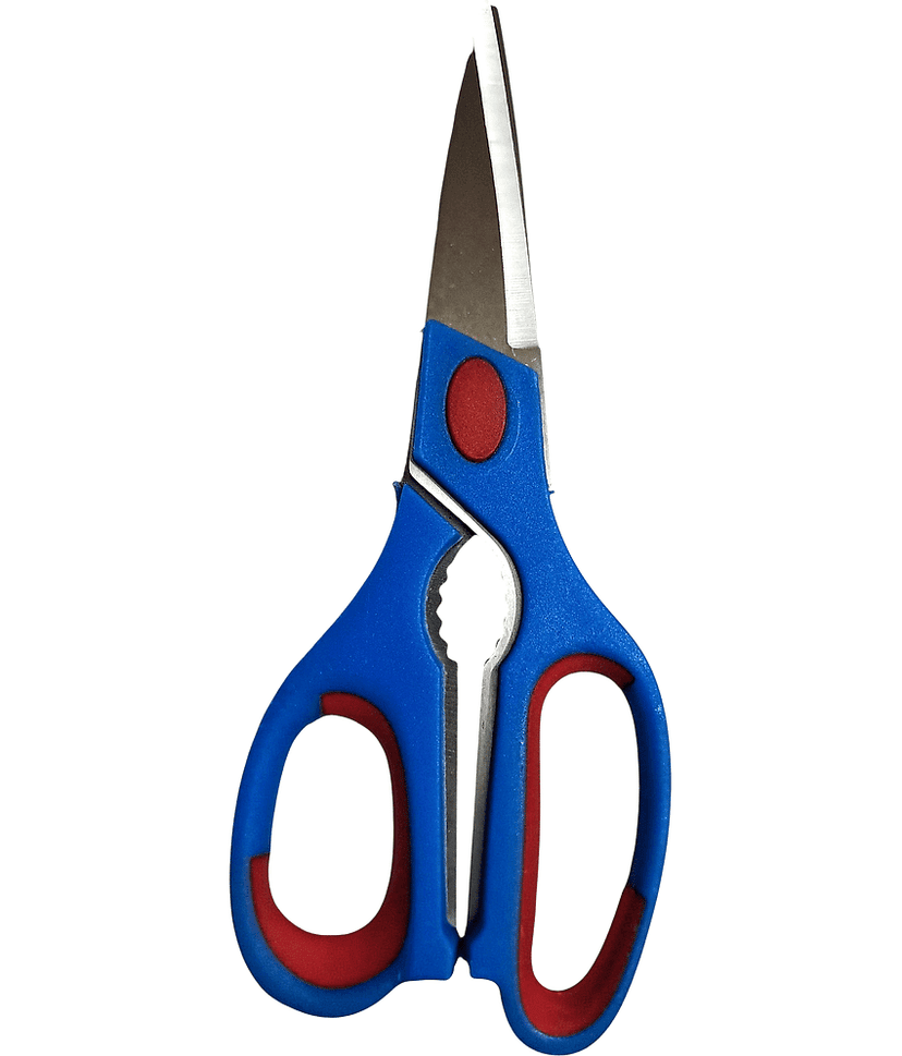 Cailyn Stainless Steel Multipurpose Scissors ( Pack of 1 )
