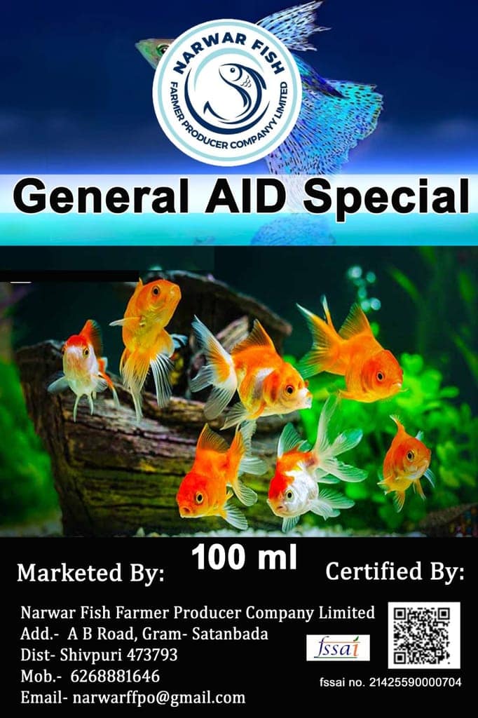 General Aid Special view 4