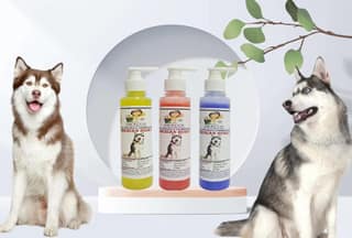 SWACCH Premium Shampoo for Siberian Husky (200ML) (Combo Pack of 3) Lemon, Jasmine & Lavender