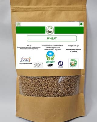 Wheat - 500 gm - One packet of whole wheat