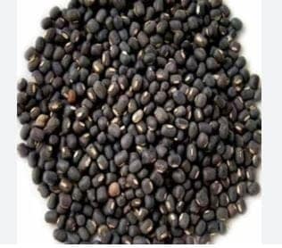 Black Gram/ Urad dal view 3