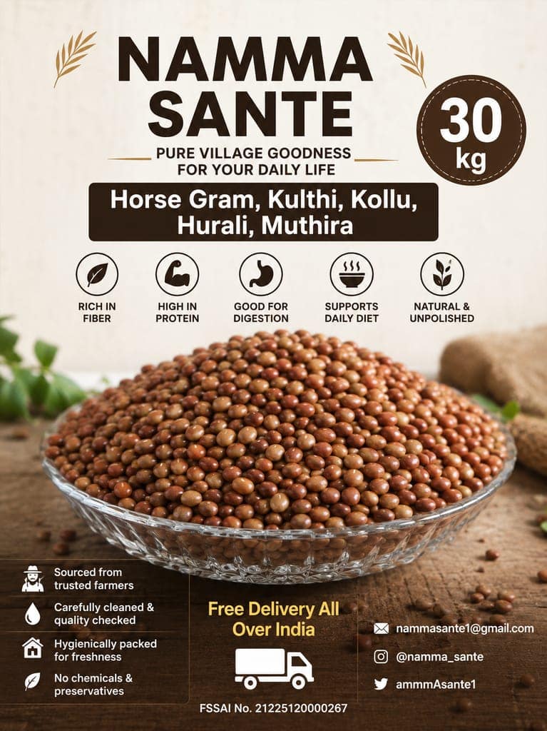 Horse Gram, Kulthi, Kollu, Hurali, Muthira view 2