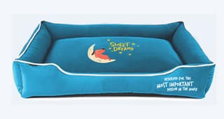 Captain Zack Dream Bedzz LXl 32In X 38In X 10.5In Sky Blue