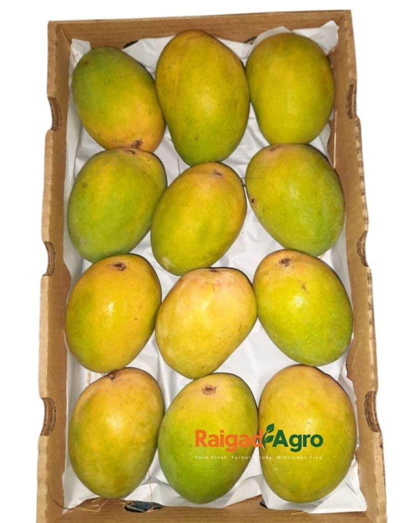 Indryani Rice Semi Polish + Devgad & Ratnagiri, Raigad Alphonso Mangoes view 6