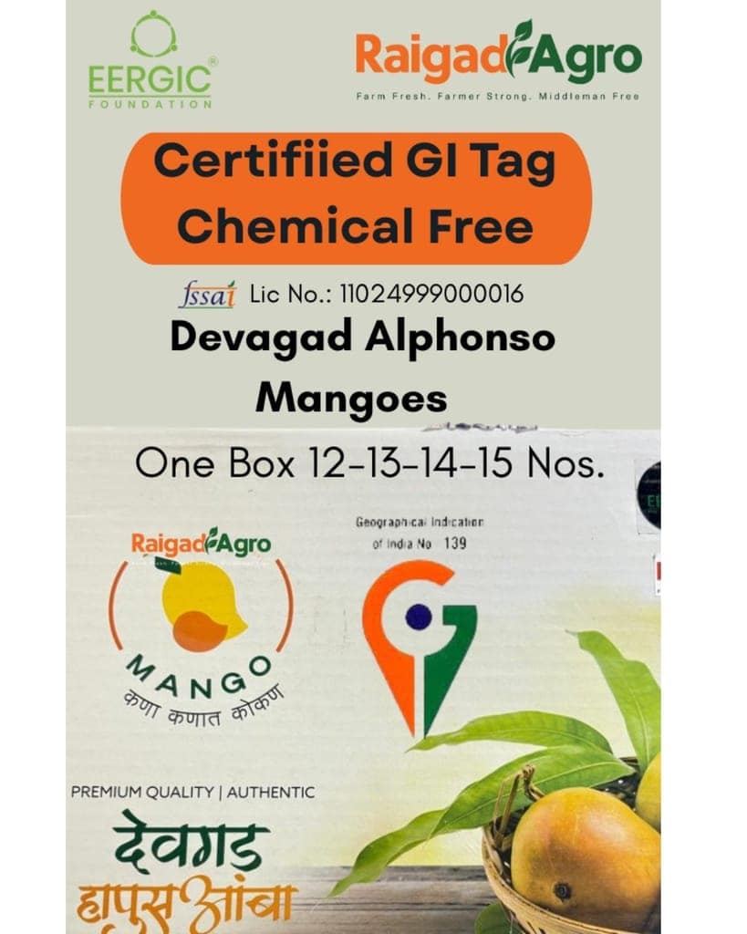Indryani Rice Semi Polish + Devgad & Ratnagiri, Raigad Alphonso Mangoes view 8