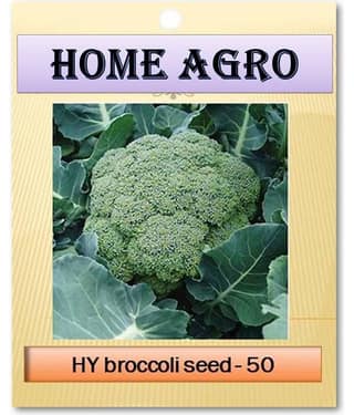HN organic seed - Vegetable Seeds ( 50 )