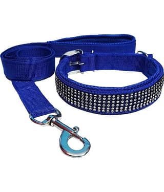 Petshop7 Red Combo (Collar Belt and Leash) ( X-Large )