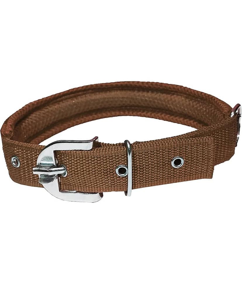 Petshop7 Red Combo (Collar Belt and Leash) ( X-Large ) view 3