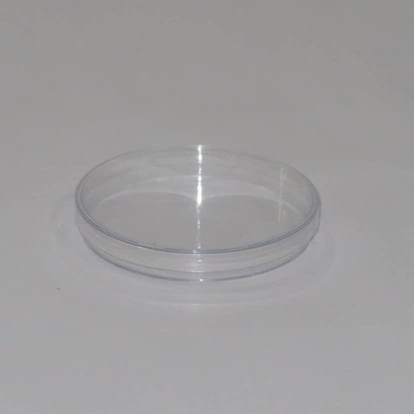 FAIRBIZPS Transparent Petri Dish Polystyrene Diameter 90mm Height 15mm (Pack of 10) view 2