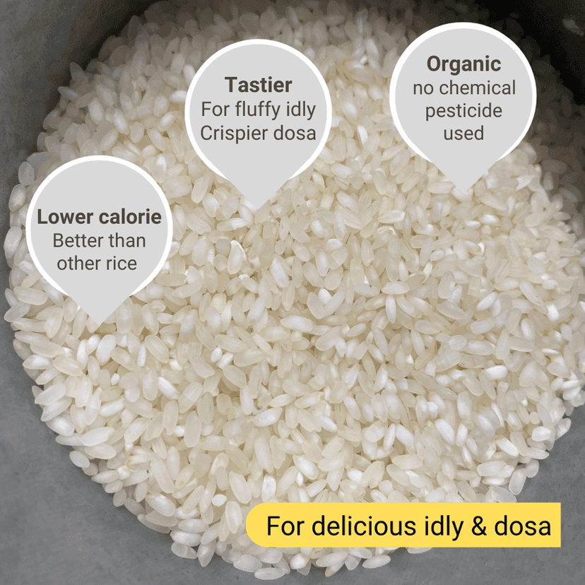 Idly Rice view 3