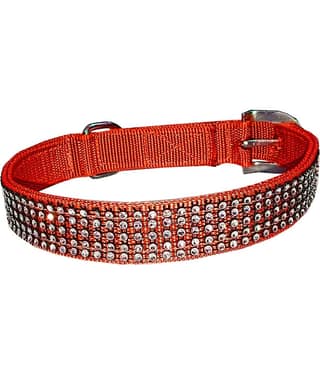 Petshop7 Blue Collar ( Large )