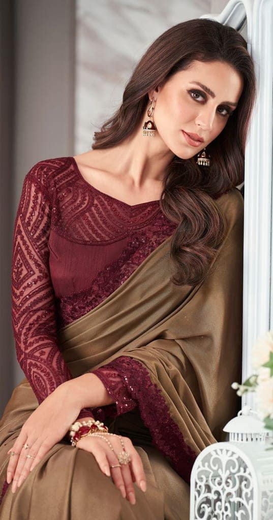 Embroidered Border Georgette Shimmer Saree in Brown view 2