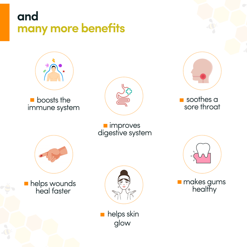 Pour Naturale Honey: Raw Honey | Pure Natural Honey| Helps build immunity and fight diseases | Helps you keep healthy and fit| Glass Jar (500gm) view 4
