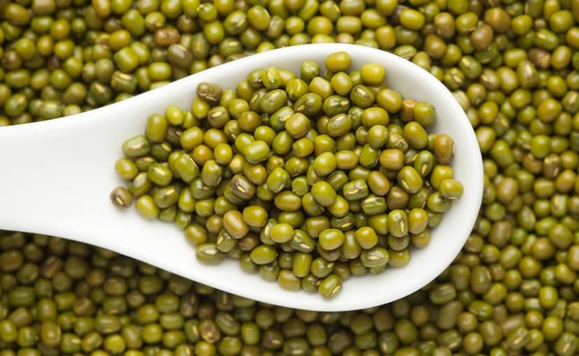 Moong ( Whole ) view 3
