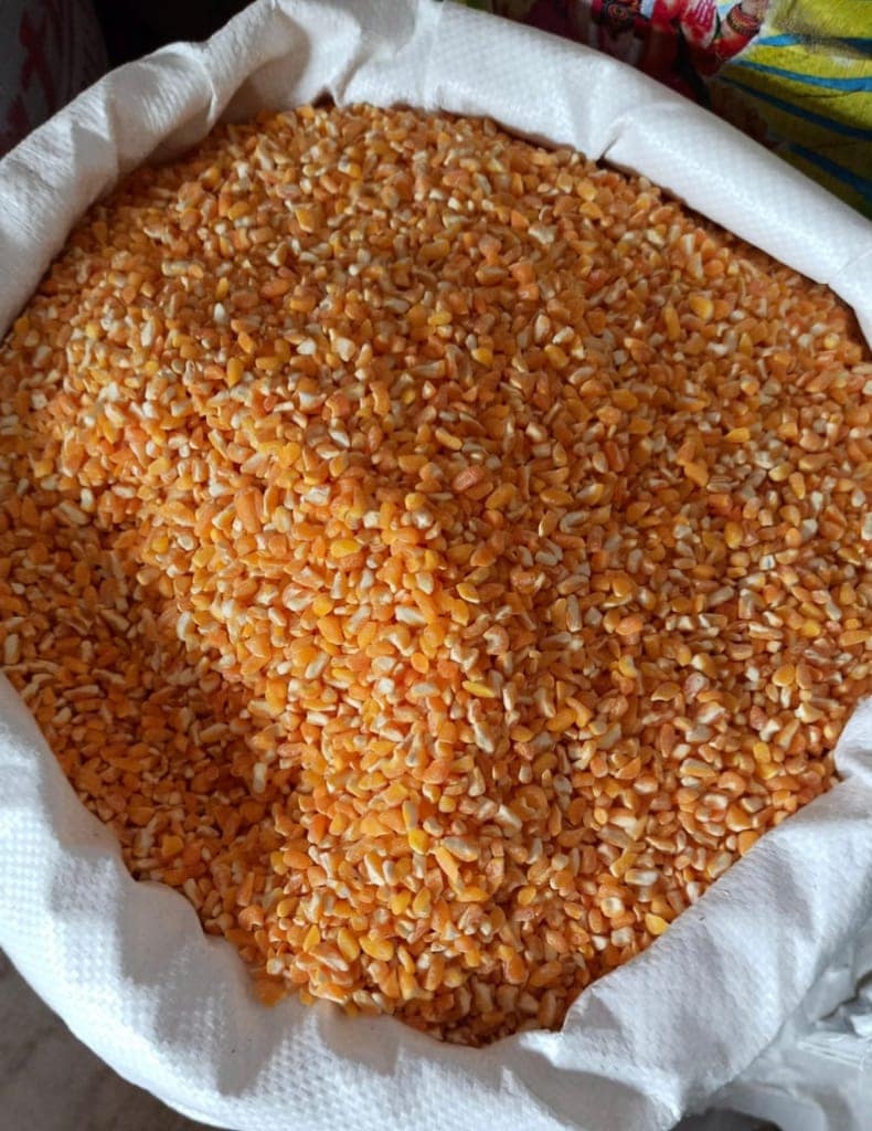 Makai Dana Tukda, Broken Maize, Broken Corn, Cracked Maize, Kibbled Maize view 2