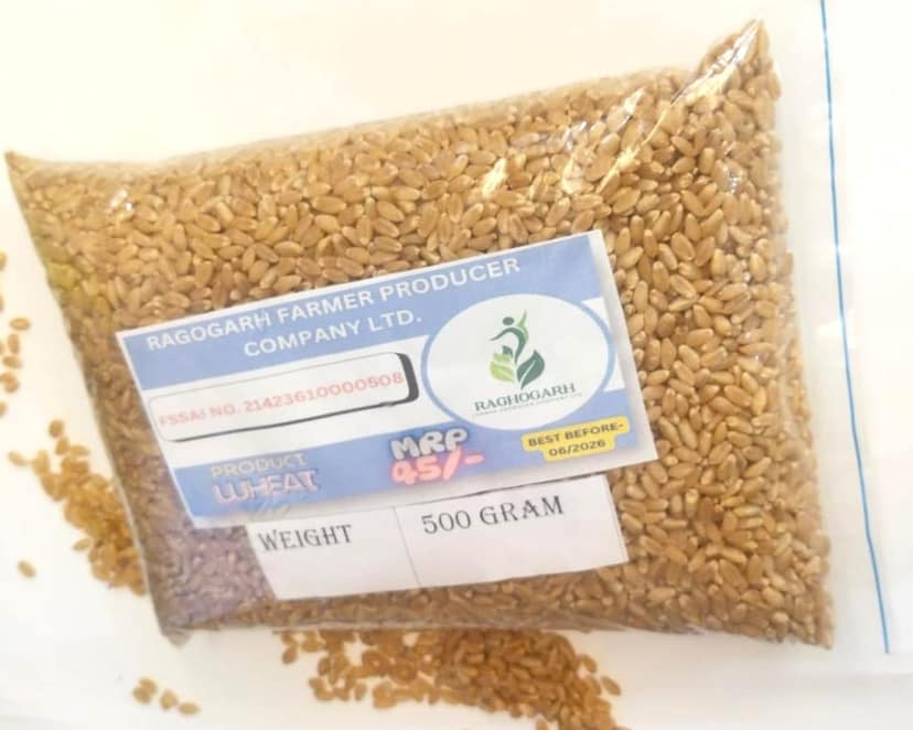 Whole Grain Wheat view 2