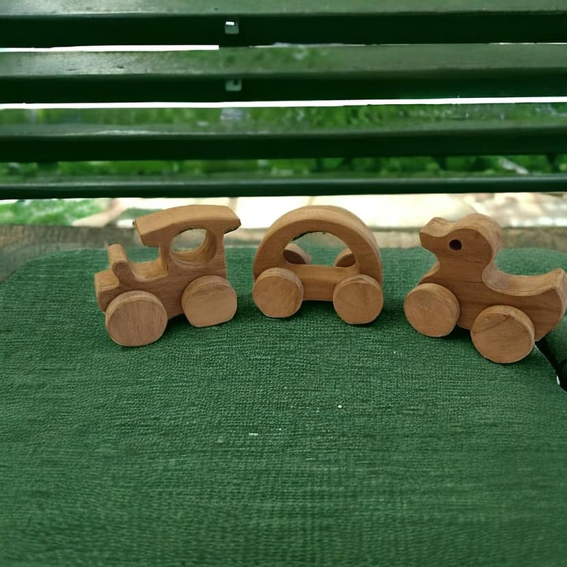 Neemtoys Set 3 Neem Wooden Anti Bacterial & Healthy Push & Pull Toys, Duck, Train and Hallow Car Shapes, Vehicle Pull Along Toddlers Toy for Babies (Brown) view 2