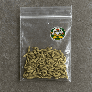 Bharti Store's saunf (fennel seeds)