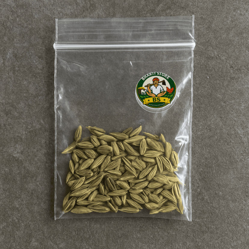 Bharti Store's saunf (fennel seeds)