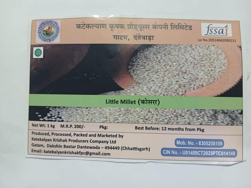 Little Millet view 2
