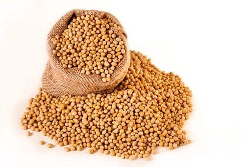 Soybean - 1 kg view 2