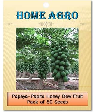 homeagro - Fruit Seeds ( 50 - seed )