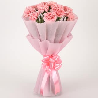 Pretty Pink Carnations Bouquet
