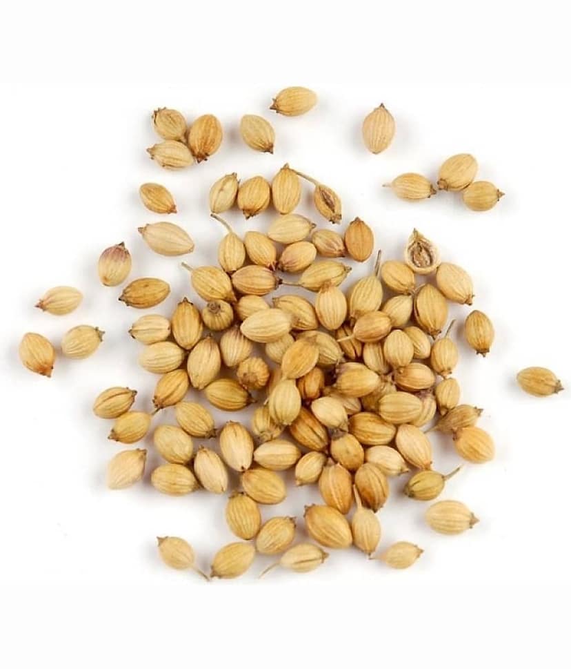 Coriander (Dhaniya) Best Quality Seeds - Pack of 200 Premium Seeds view 2