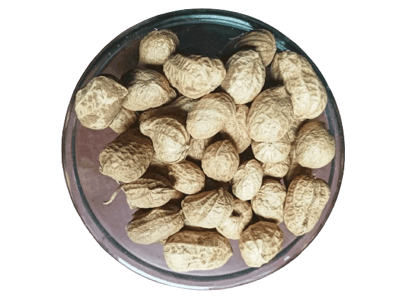 Premium Raw Groundnuts (Peanuts) view 2