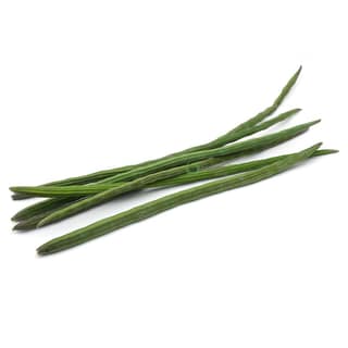 SS DRUMSTICK