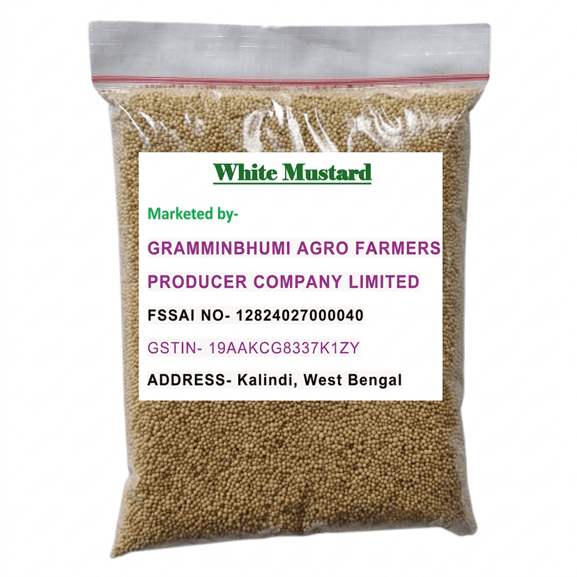White Mustard- 500gm view 2