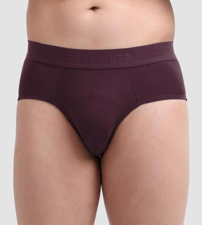 FREECULTR Men's Underwear Anti Bacterial Micromodal Airsoft Brief - Non Itch No Chaffing Sweat Proof Pack of 1-Port Wine