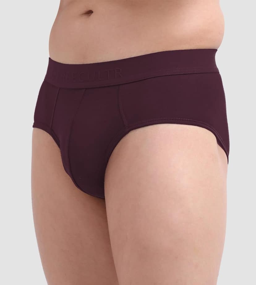 FREECULTR Men's Underwear Anti Bacterial Micromodal Airsoft Brief - Non Itch No Chaffing Sweat Proof Pack of 1-Port Wine view 2