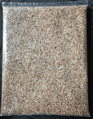 Jowar- 1kg seed view 2