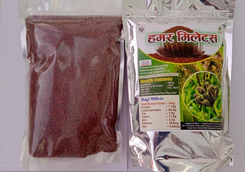 Ragi Millets view 2