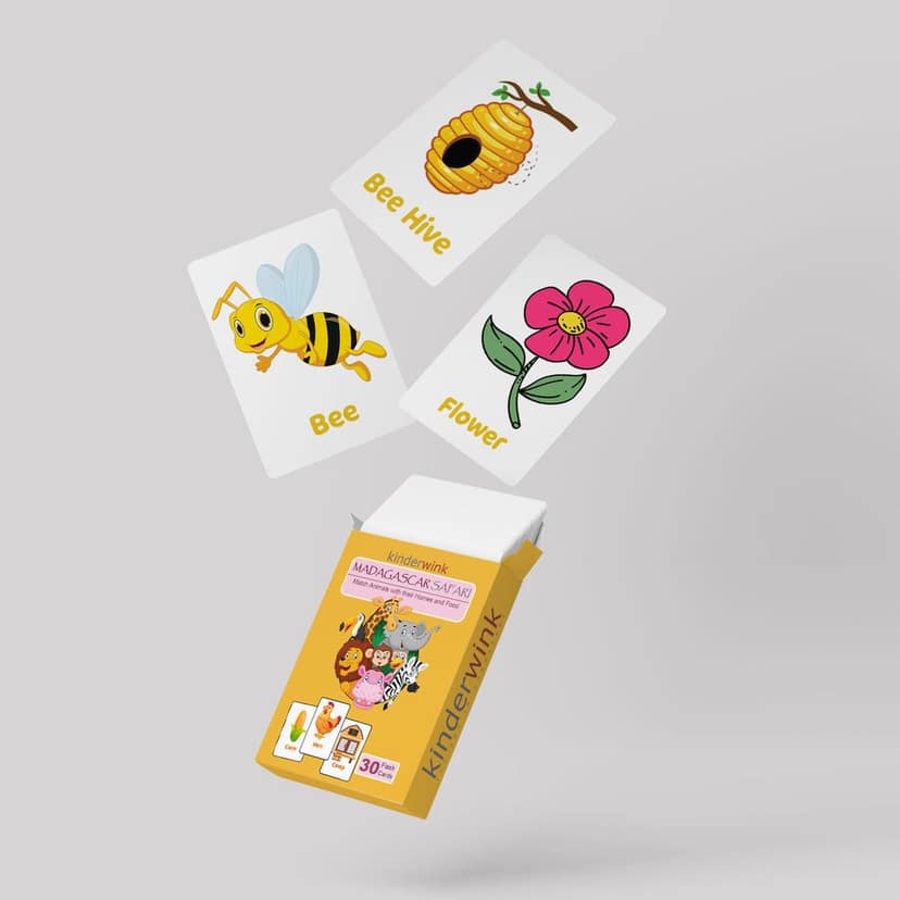 Combo of 3 Educational Flash Card Games - Madagascar Safari, Pattern Quest , Colour Your Vocabulary view 2