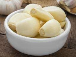 GARLIC view 2