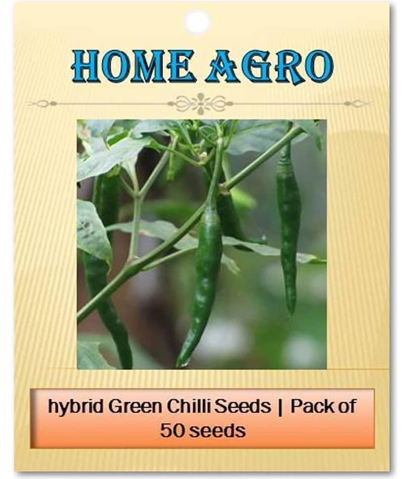 homeagro - Chilli Vegetable ( 50 Seeds ) view 2