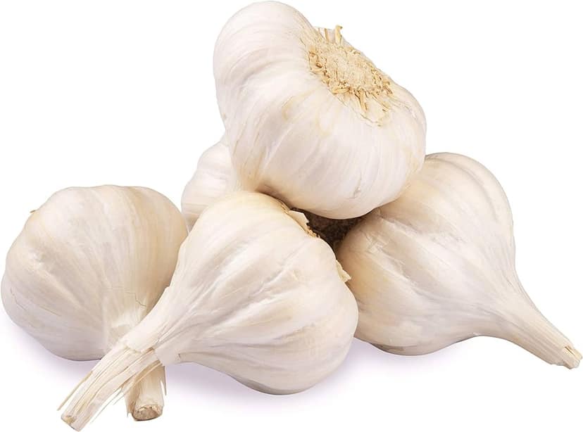 Garlic view 2