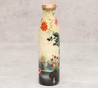 India Circus River Bank Silvassa Copper Bottle