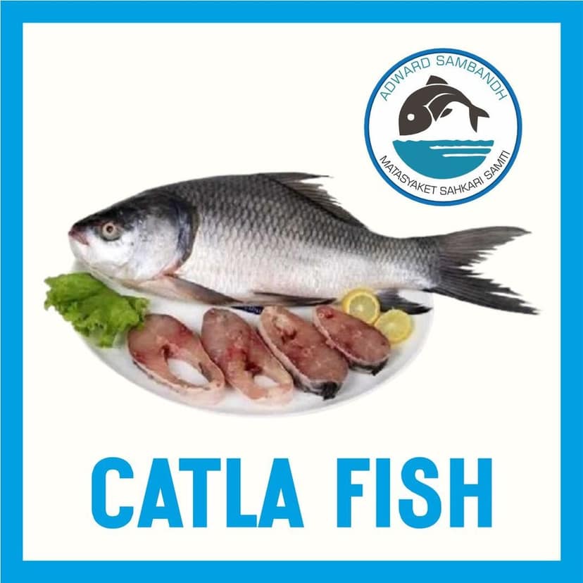 Catla Fish view 2